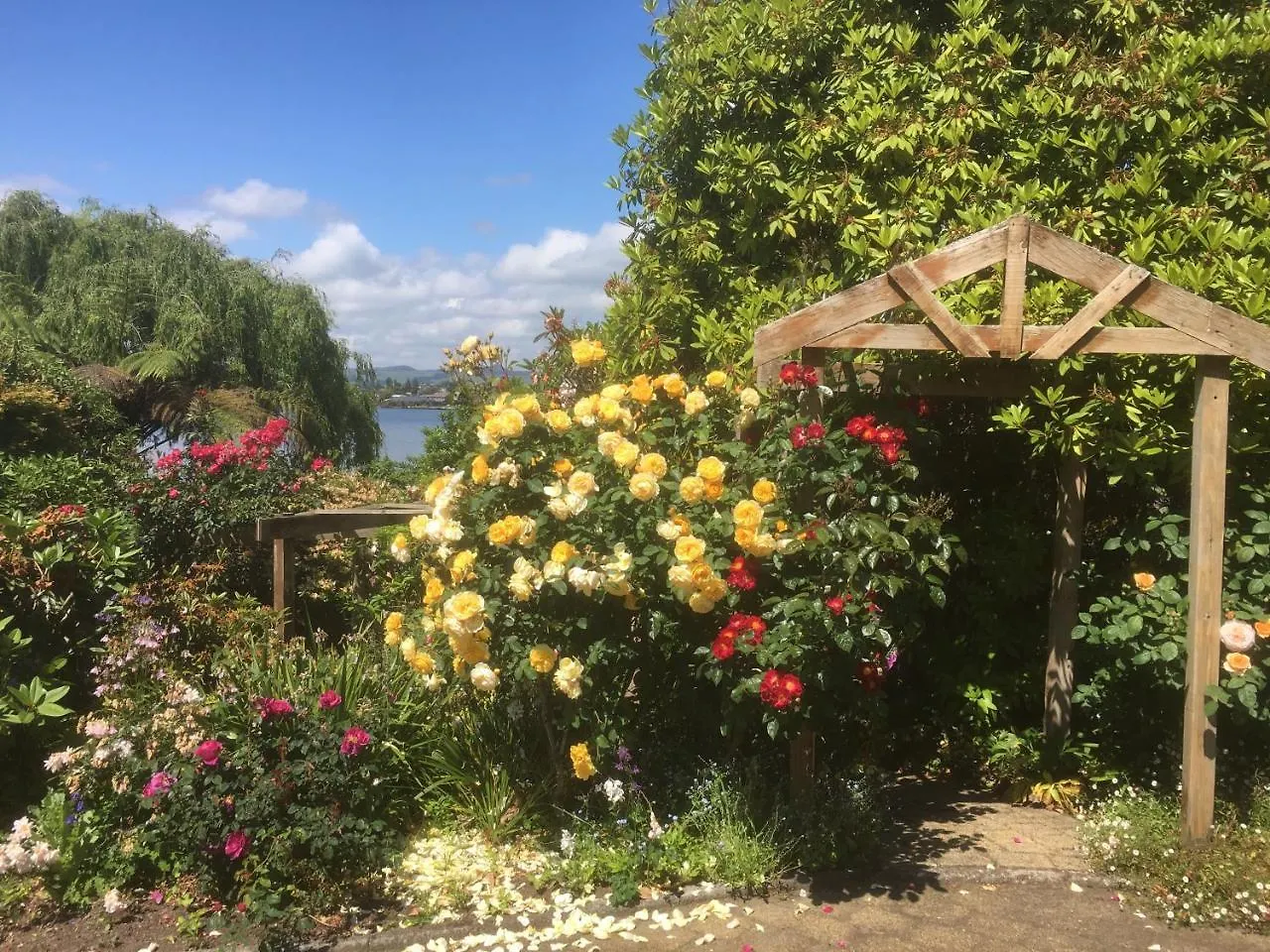 The Willows Rotorua Holiday home