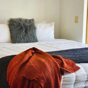 oasis-in-the-city.wellingtonnzhotels.com/